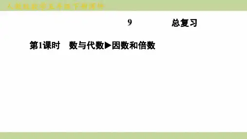 (新插图)人教版五年级下册数学 第1课时 数与代数 因数和倍数 知识点梳理课件
