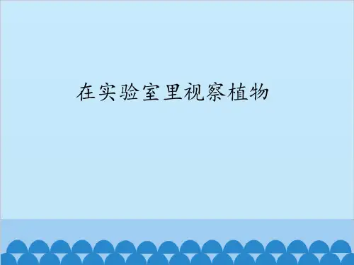 第一单元第三章第一节在实验室里观察植物课件(冀教版)
