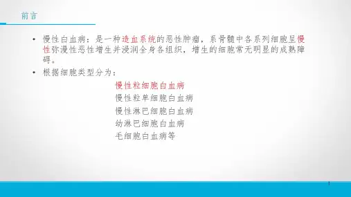 慢性粒细胞白血病PPT精品文档