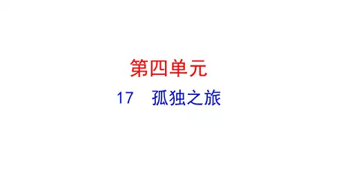 《孤独之旅》ppt课件