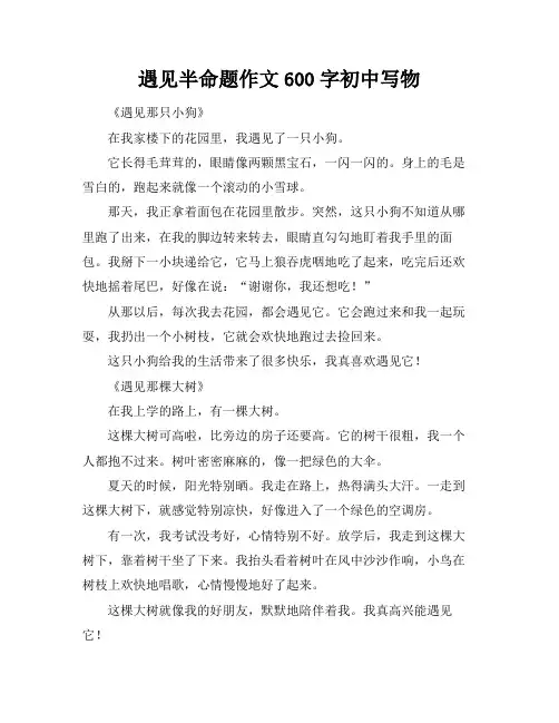 遇见半命题作文600字初中写物