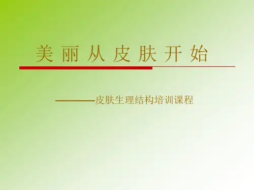 皮肤美容基础 PPT课件