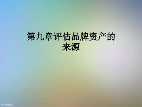 第九章评估品牌资产的来源