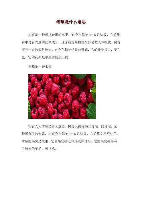 树莓是什么意思