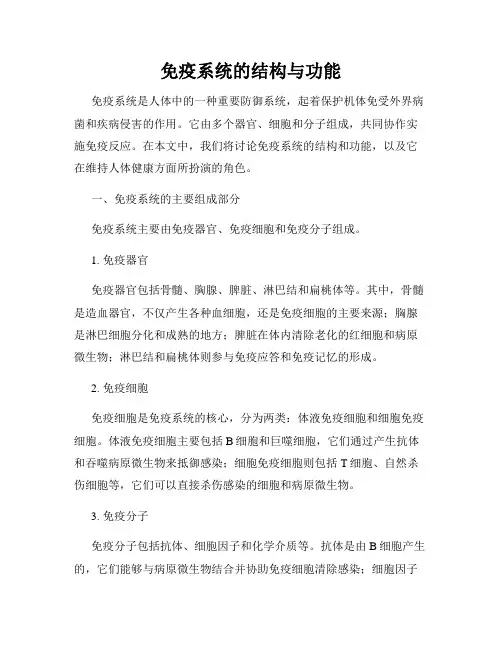 免疫系统的结构与功能