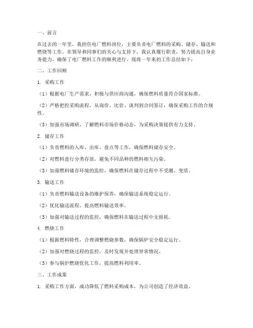 电厂燃料个人工作总结报告