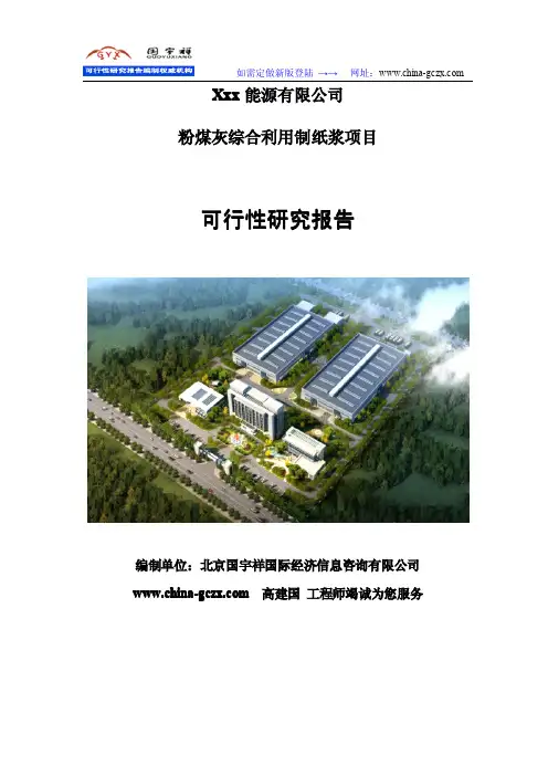 粉煤灰综合利用制纸浆项目可行性研究报告