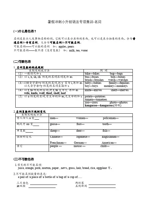 暑假冲刺小升初英语语法专项集训-名词 (通用版,含答案)