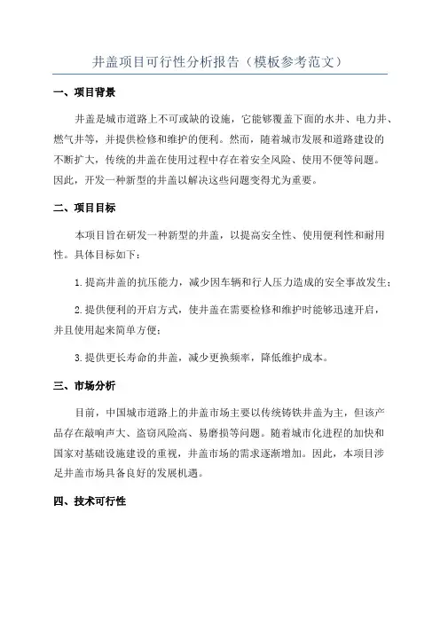 井盖项目可行性分析报告(模板参考范文)