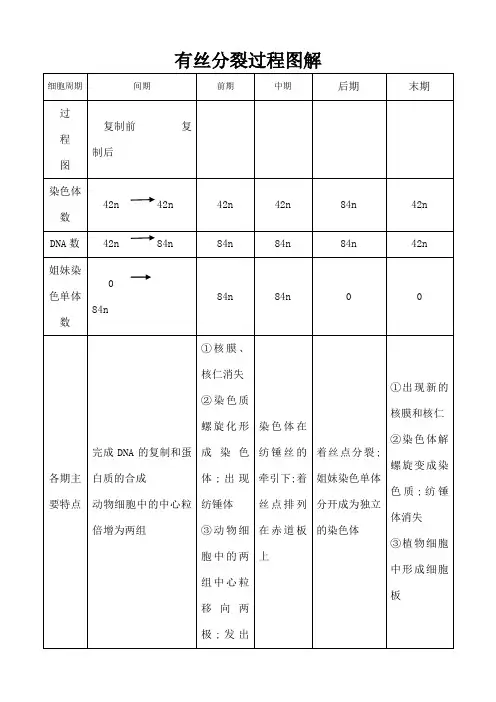 有丝与减数分裂过程图比较表