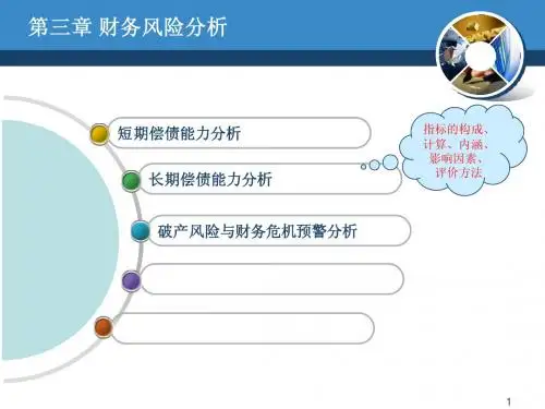 财务风险分析PPT