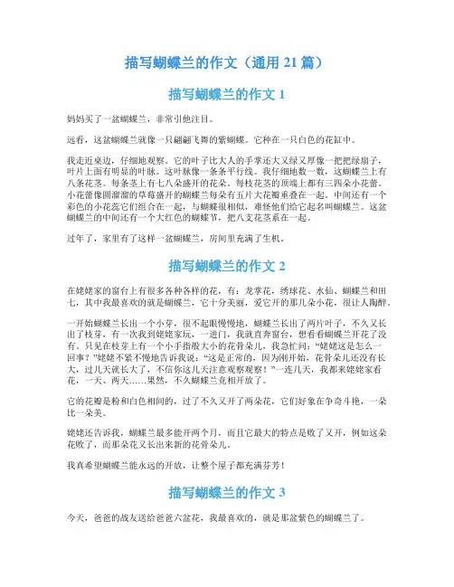 描写蝴蝶兰的作文(通用21篇)