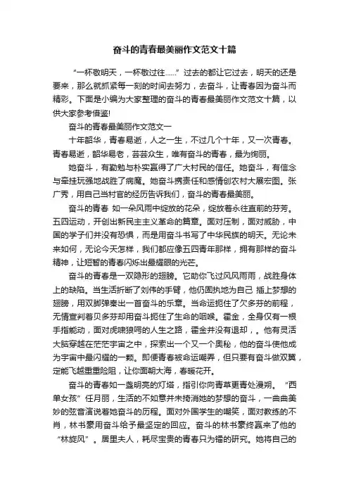 奋斗的青春最美丽作文范文十篇