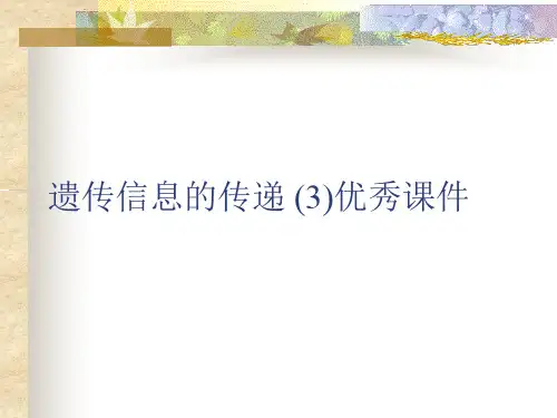 遗传信息的传递 (3)优秀课件