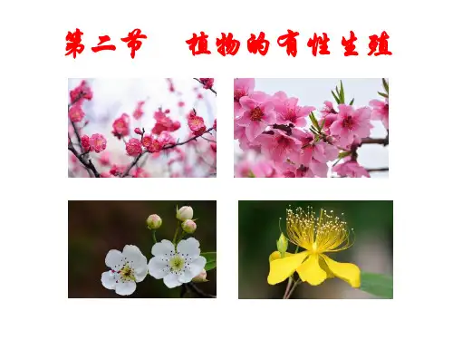 苏教版八年级下册生物《第二节 植物的有性生殖》课件
