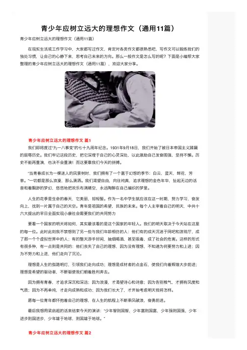 青少年应树立远大的理想作文（通用11篇）