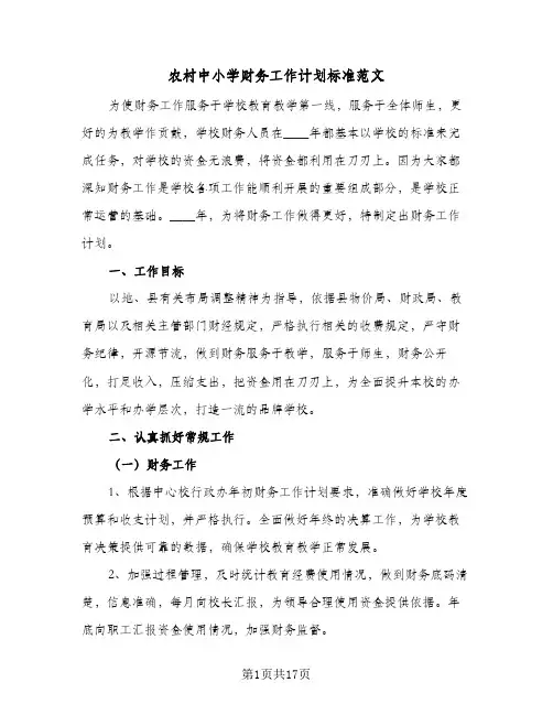 农村中小学财务工作计划标准范文(6篇)