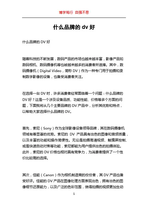 什么品牌的dv好