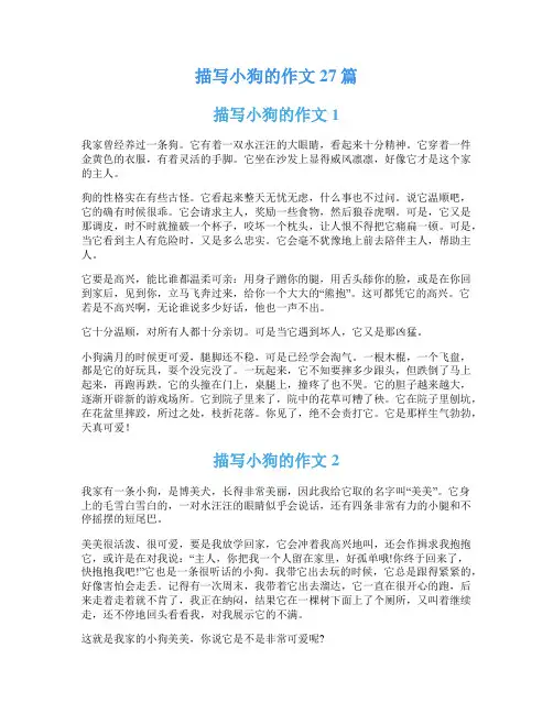 描写小狗的作文27篇