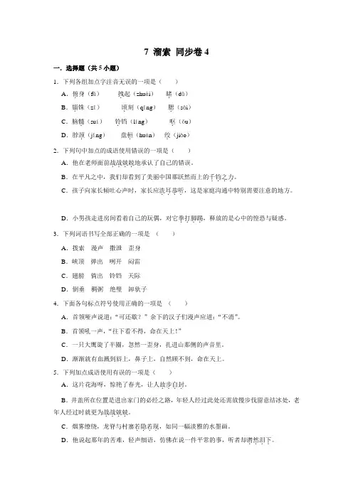 部编版语文九年级下册 7 溜索