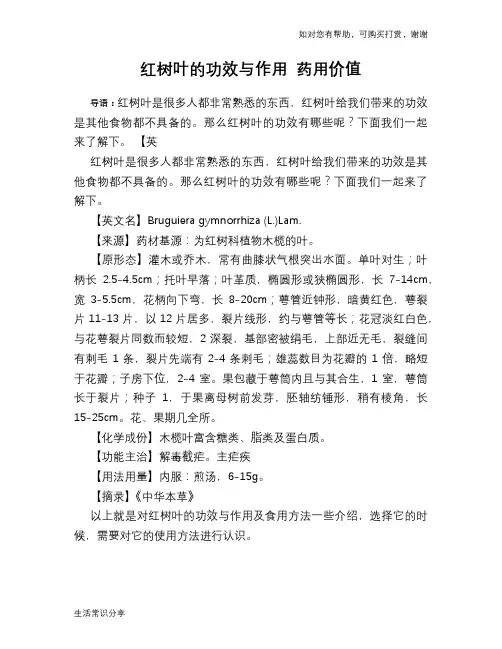 红树叶的功效与作用 药用价值
