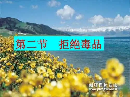拒绝毒品