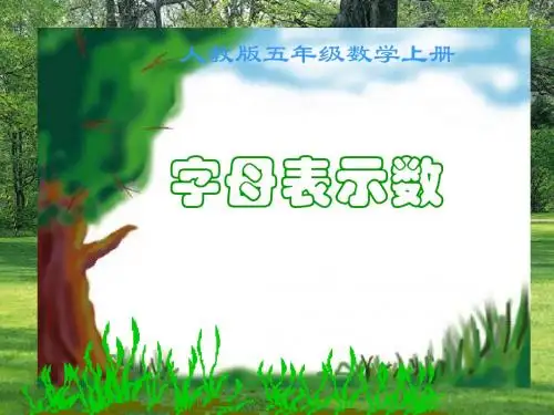 五年级数学上册 字母表示数 3课件 人教版