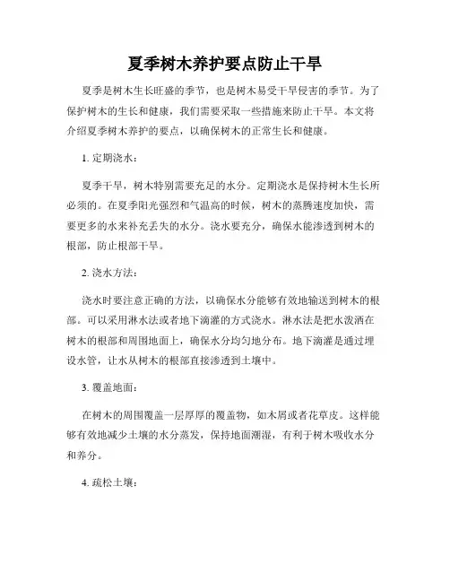 夏季树木养护要点防止干旱