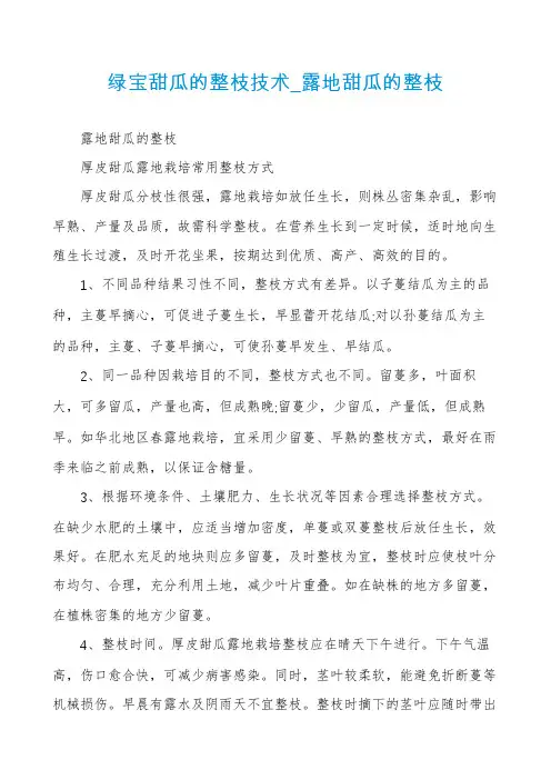 绿宝甜瓜的整枝技术_露地甜瓜的整枝