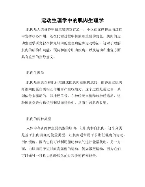 运动生理学中的肌肉生理学