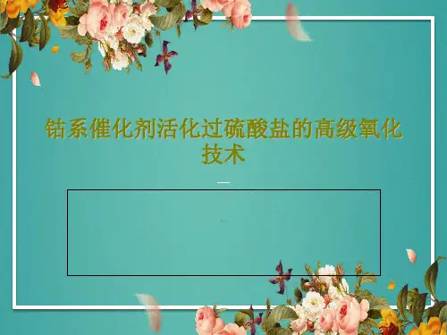 钴系催化剂活化过硫酸盐的高级氧化技术PPT共22页