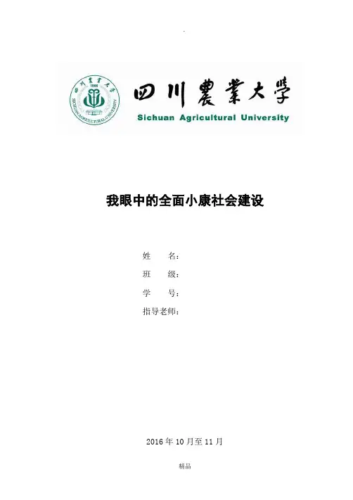 我眼中的全面小康社会建设