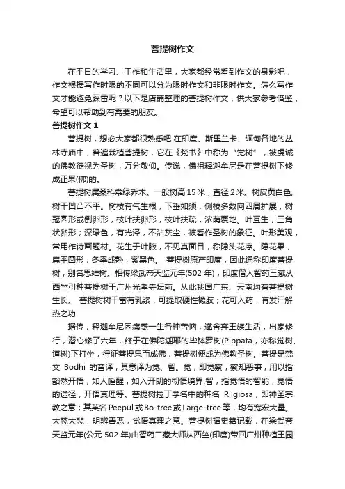 菩提树作文