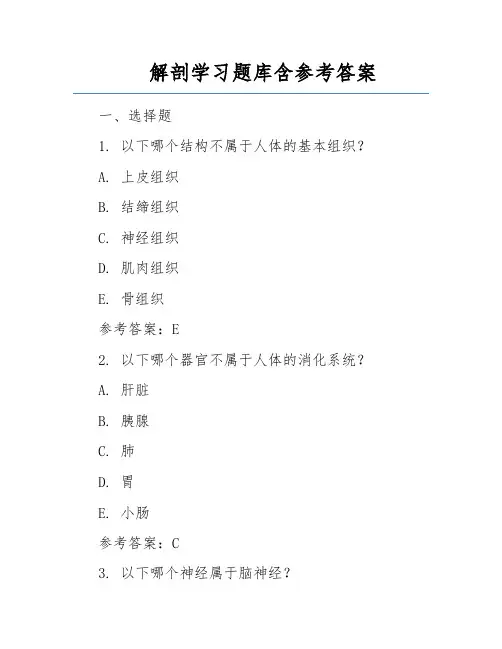 解剖学习题库含参考答案 