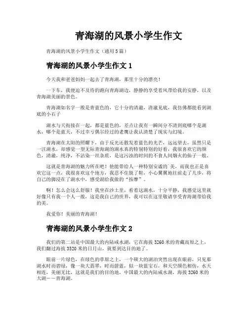 青海湖的风景小学生作文