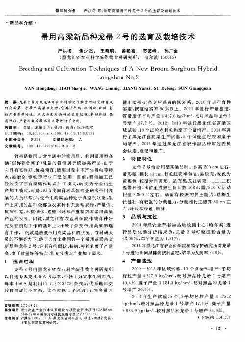 帚用高粱新品种龙帚2号的选育及栽培技术
