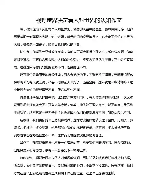 视野境界决定着人对世界的认知作文