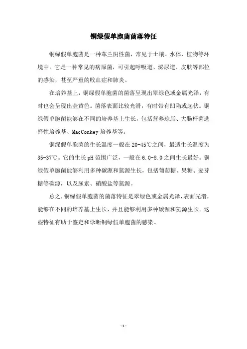 铜绿假单胞菌菌落特征