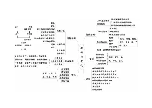 生物的必修2思维导图