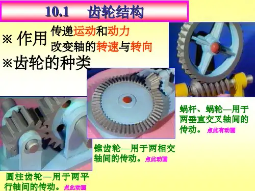 机械制图齿轮及键的画法