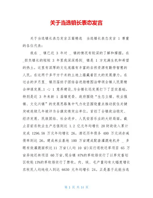 关于当选镇长表态发言