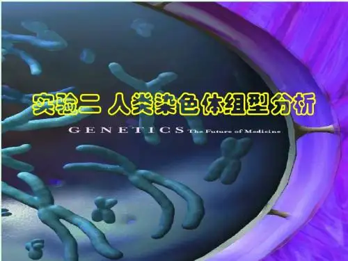 遗传实验2_人类染色体组型分析