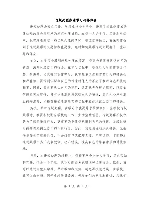 违规处理办法学习心得体会