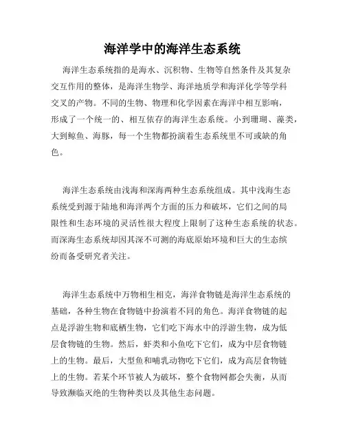 海洋学中的海洋生态系统