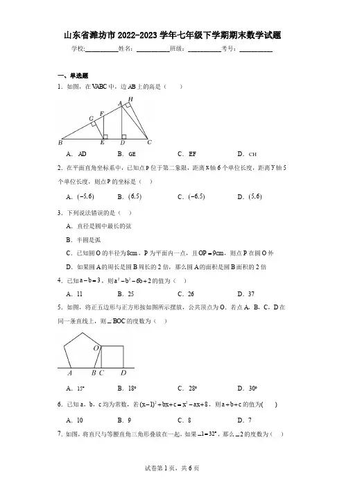 山东省潍坊市2022-2023学年七年级下学期期末数学试题