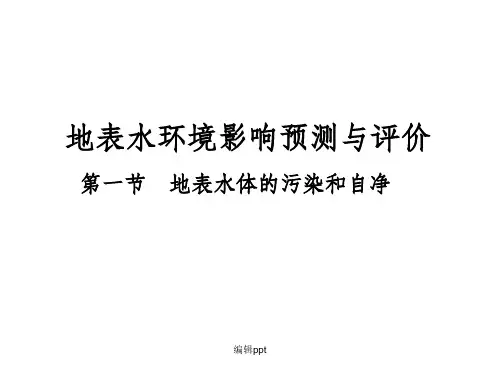 地表水环境影响预测与评价