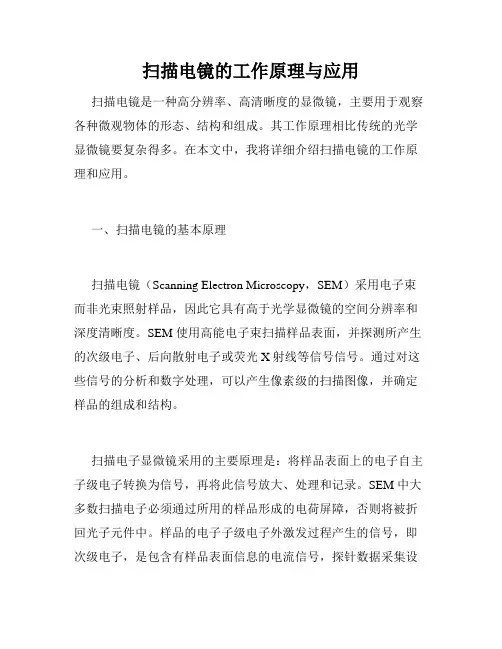 扫描电镜的工作原理与应用