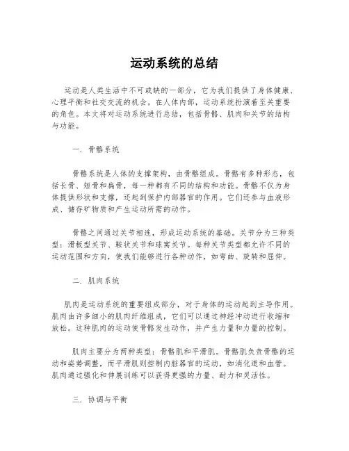 运动系统的总结