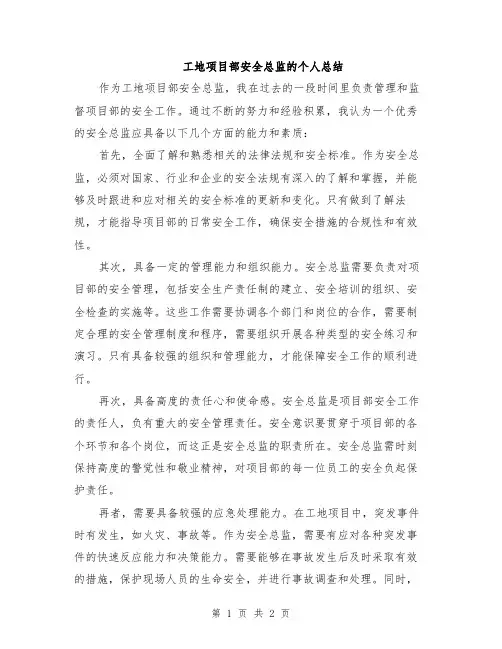 工地项目部安全总监的个人总结