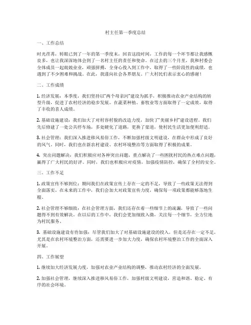 村主任第一季度总结